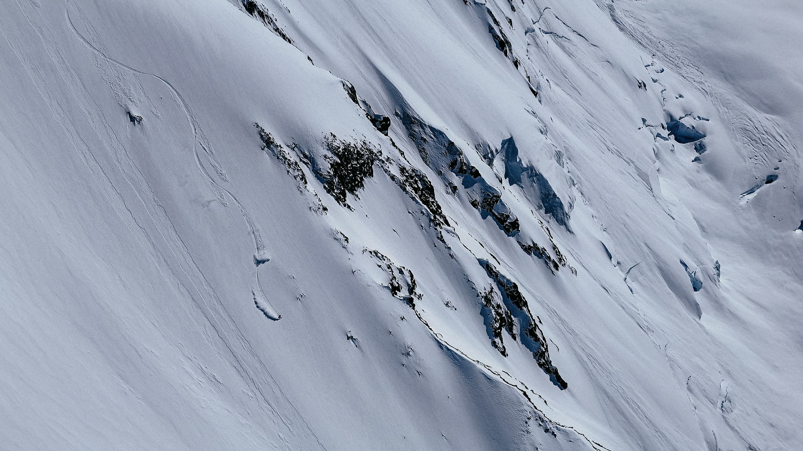 Ski guides collaborating on field operations