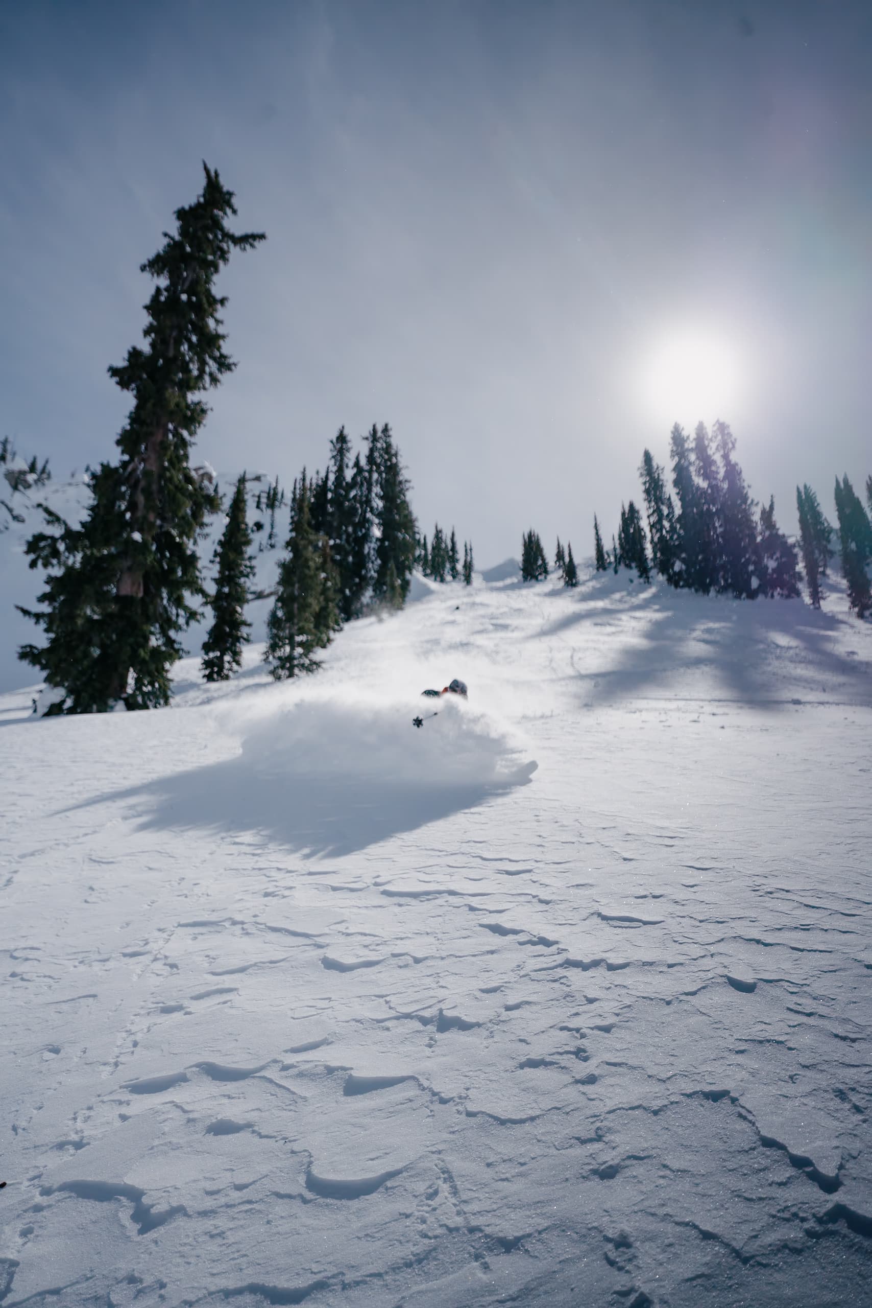 Mountain landscape with skiers